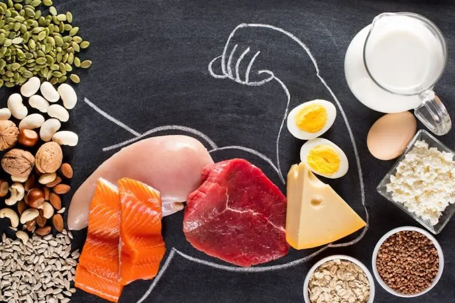 فستینگ و مصرف پروتئین؛ چگونه از عضله محافظت کنیم؟