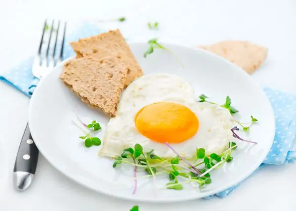 چرا با وجود کم‌خوری لاغر نمی‌شوم؟ بررسی علمی دلایل + راه‌حل واقعی رژیم لاغری